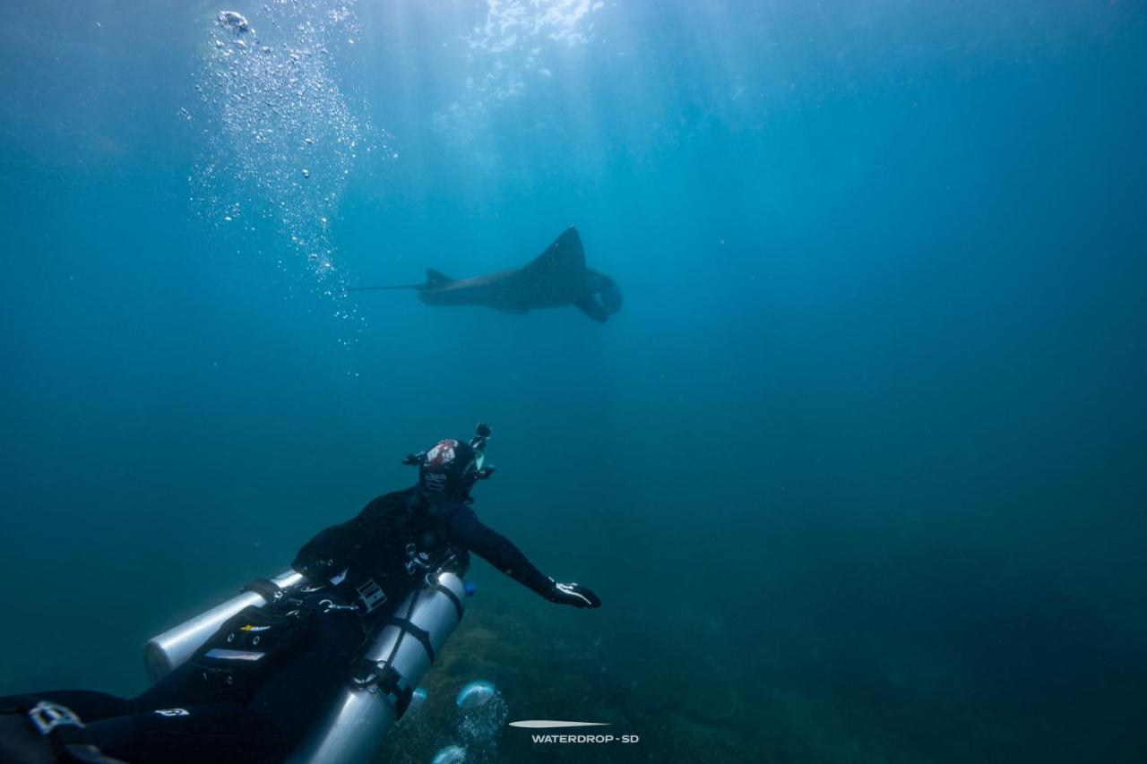 Jukung Dive Resort Bali Penida Batununggul Exteriör bild